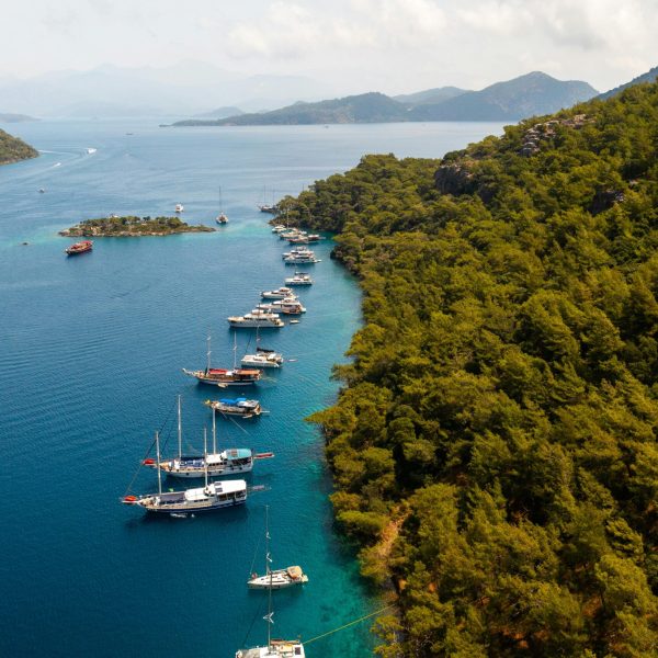 Stunning aerial view of Göcek Bay with boats and green forest coastline, perfect for travel enthusiasts.